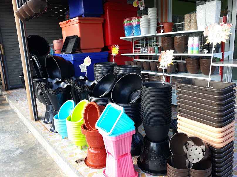 ร้านต้นไม้แม่ทองใบ - 2