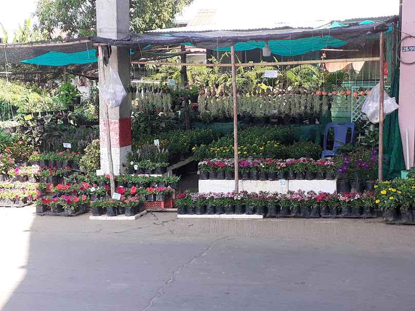 ร้านต้นไม้ใต้อุโมงค์ - 2