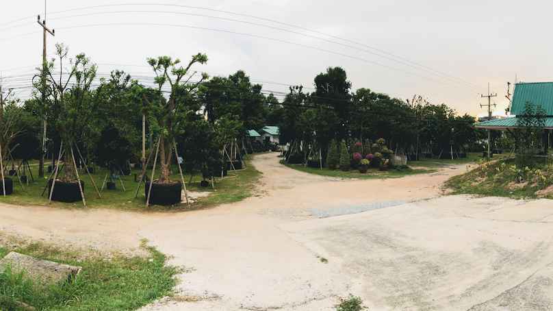 ร้านต้นไม้ใหม่การ์เด้นพัทยา