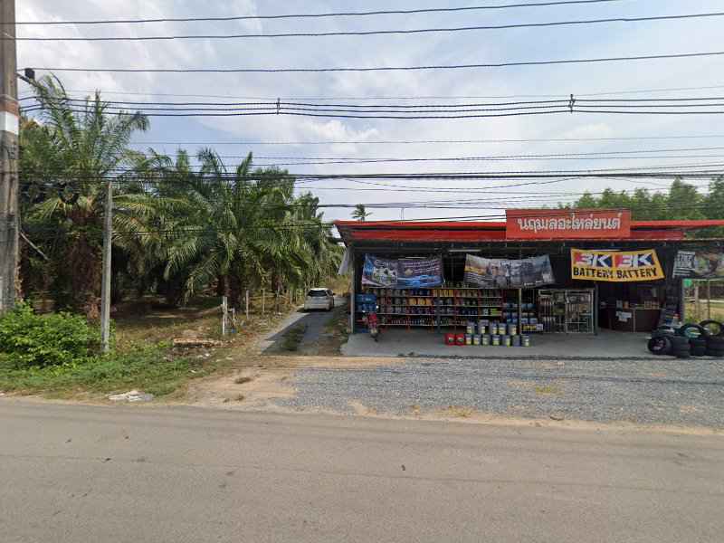 ร้านต้นไม้ไพรวนาลัย-เหนือคลองกระบี่ - 4