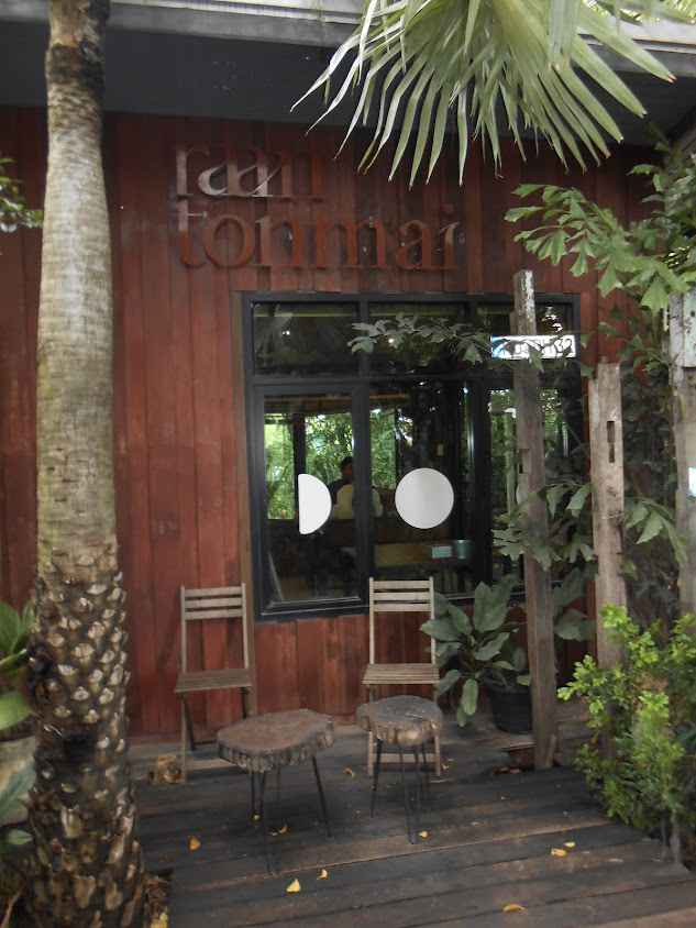 ร้านต้นไม้ กาแฟ