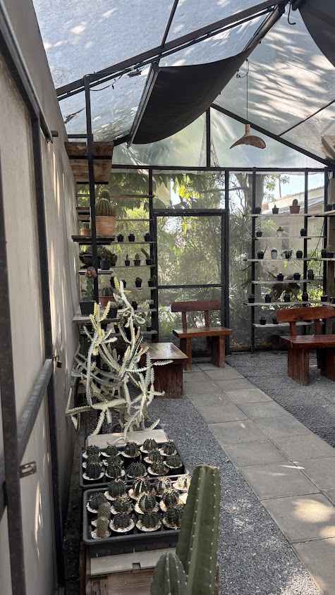 ร้านต้นไม้ กาแฟ - 3
