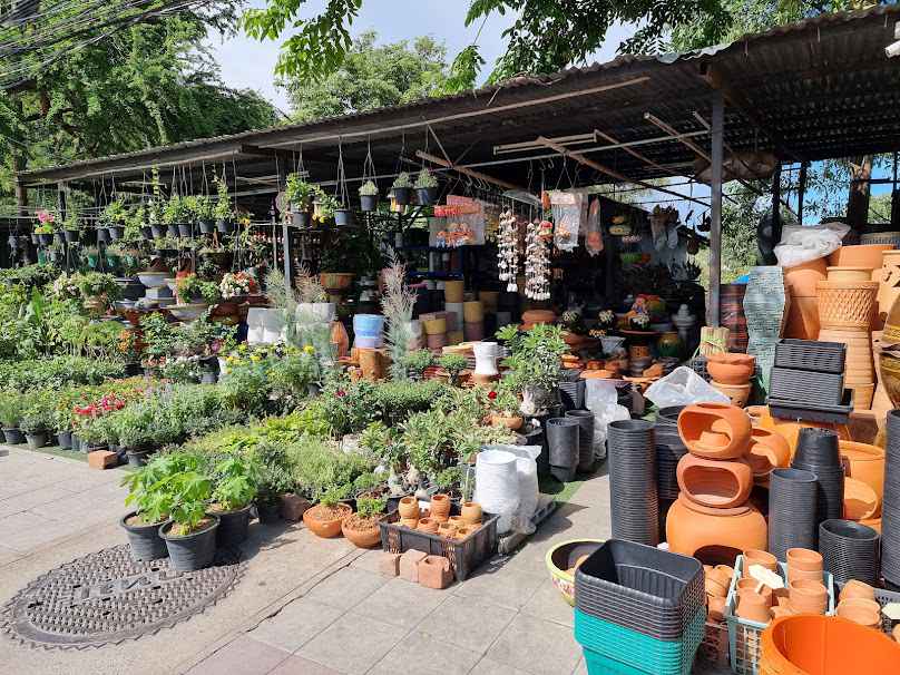 ร้านต้นไม้ ซอยท่าข้าม - 2