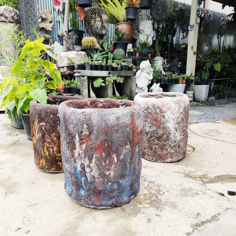 ร้านต้นไม้ ต้นศิลป์ จัดดิ - 2