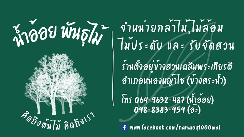 ร้านต้นไม้ น้ำอ้อยพันธุ์ไม้ - 1