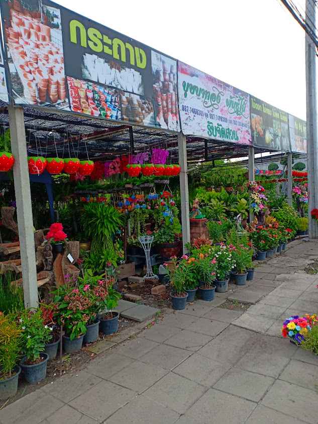 ร้านต้นไม้ บุษบาทอง พันธุ์ไม้ - 1