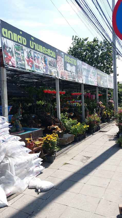 ร้านต้นไม้ บุษบาทอง พันธุ์ไม้ - 2