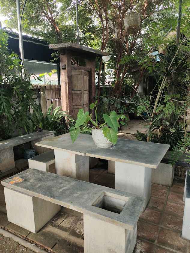 ร้านต้นไม้ บ้านสวนพร้าว - 4