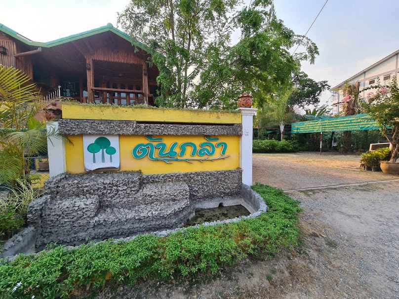 ร้านต้นไม้ (ประดับไม้มงคล) - 2