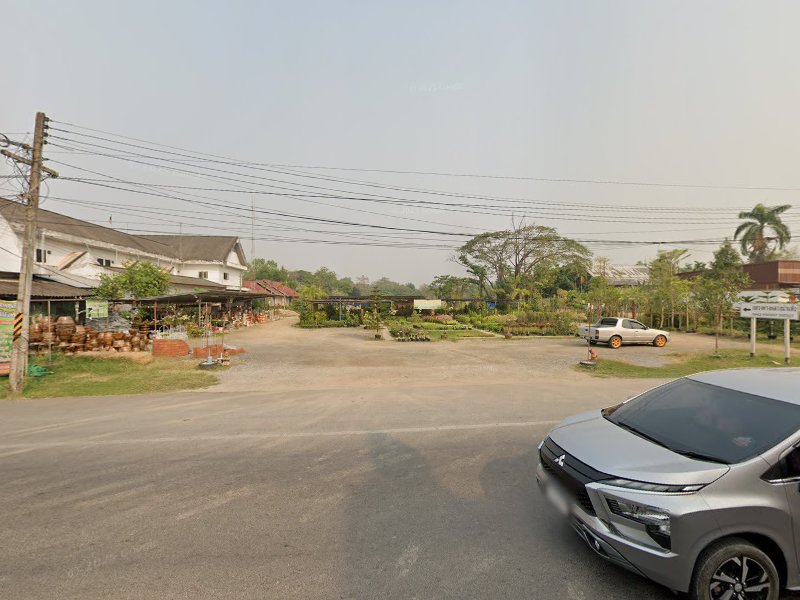 ร้านต้นไม้ (ประดับไม้มงคล) - 4