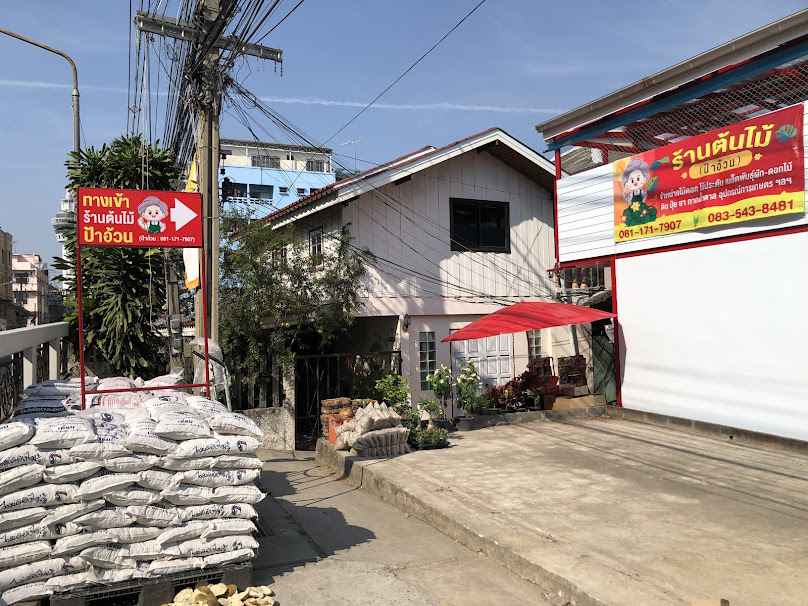 ร้านต้นไม้ ป้าอ้วน - 2
