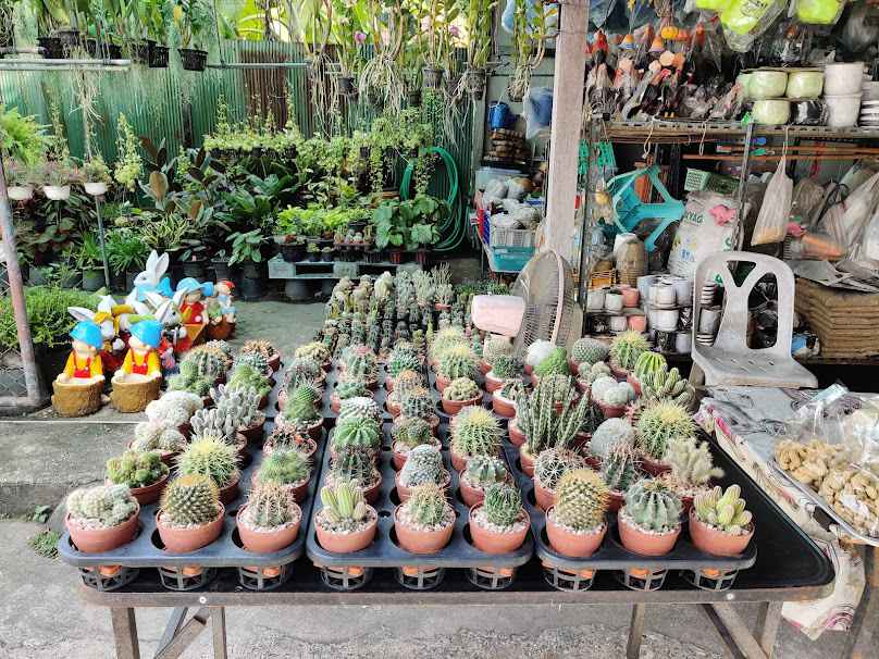 ร้านต้นไม้ ป้าอ้วน - 4