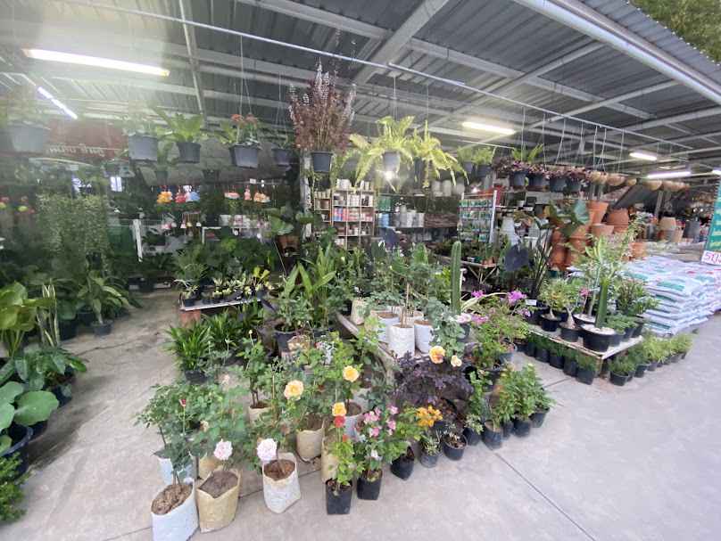 ร้านต้นไม้ พรรณทิพย์ - 3