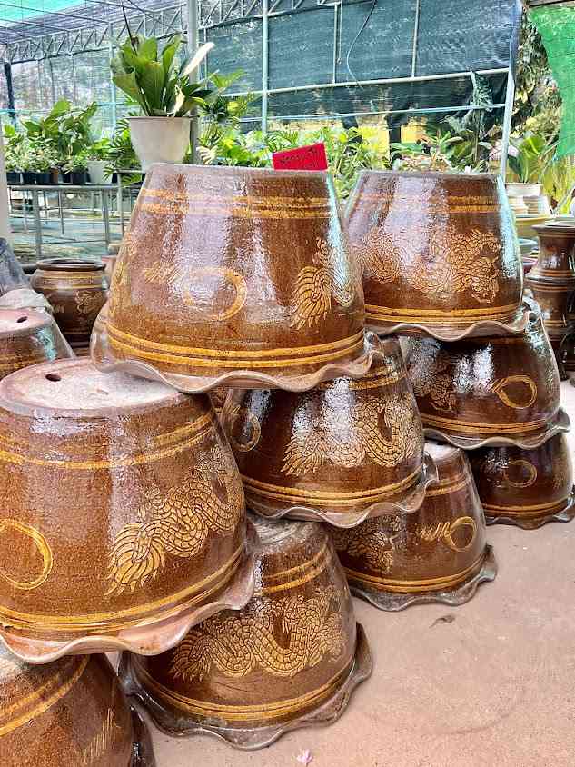 ร้านต้นไม้ พลายพลออร์คิดส์ - 4
