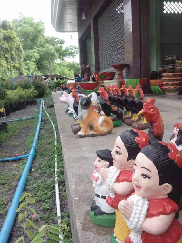 ร้านต้นไม้ พ.ตระกูลรุ่ง - 2
