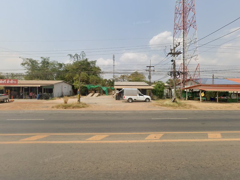 ร้านต้นไม้ วังท่าช้าง - 4
