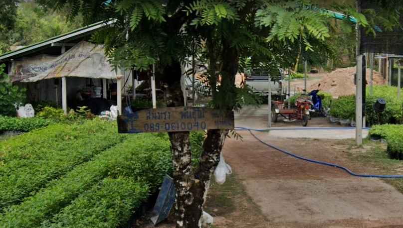 ร้านต้นไม้ “สมทรงพันธุ์ไม้” - 2