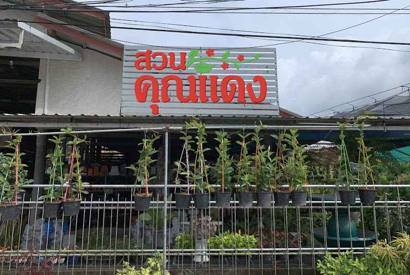 ร้านต้นไม้ สวนคุณแดง