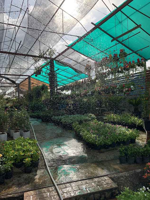 ร้านต้นไม้ สวนคุณแดง - 2