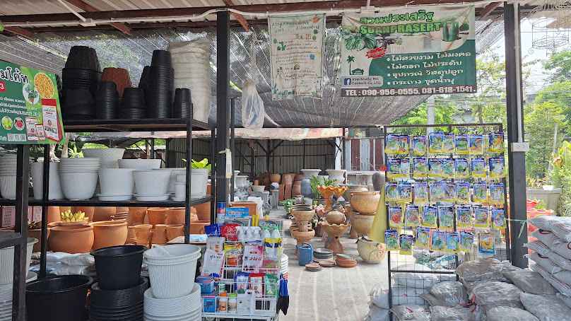 ร้านต้นไม้ สวนน้องแทม - 2