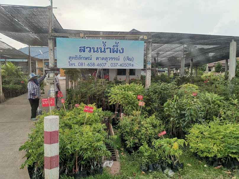 ร้านต้นไม้ สวนน้ำผึ้ง