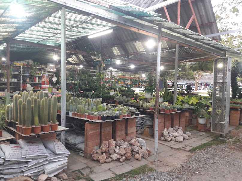 ร้านต้นไม้ สุนทรีพันธุ์ไม้ - 3