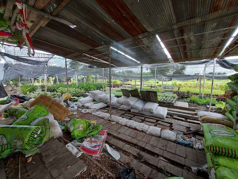 ร้านต้นไม้ หนองหญ้า