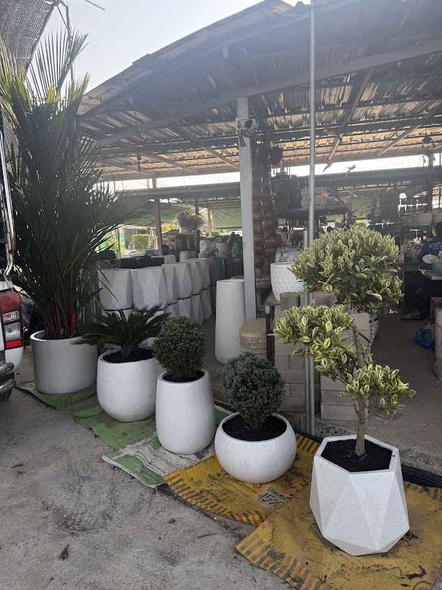 ร้านต้นไม้ เล็กเดช การ์เด้นท์ - 2