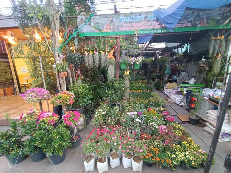 ร้านต้นไม้ เล็ก-ชัย พันธุ์ไม้