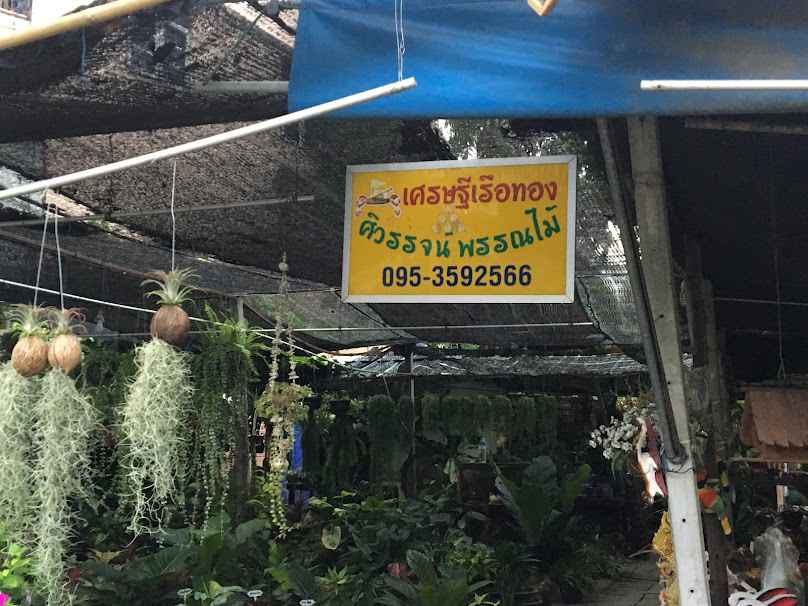 ร้านต้นไม้ เศรษฐีเรือทอง