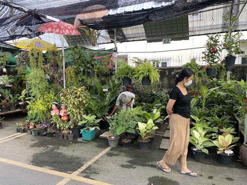 ร้านต้นไม้ แม่อุ๊ เฌอพนา