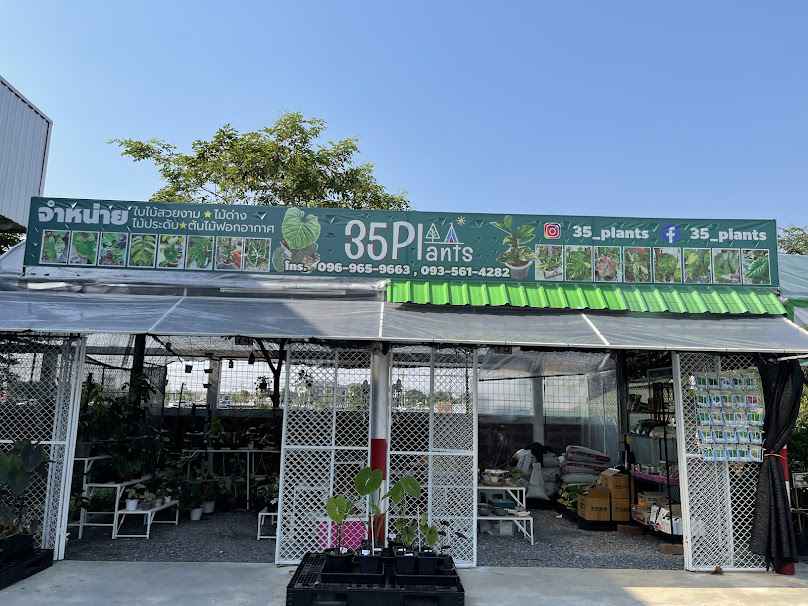 ร้านต้นไม้ แม่อุ๊ เฌอพนา - 4