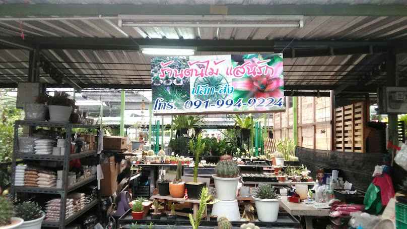 ร้านต้นไม้ แสนรัก