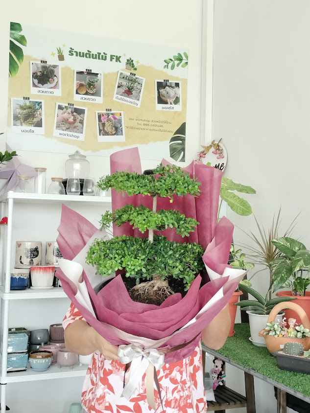ร้านต้นไม้ FK (ตลาดลาดสวายเมืองใหม่)