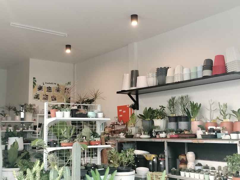 ร้านต้นไม้ FK (ตลาดลาดสวายเมืองใหม่) - 4