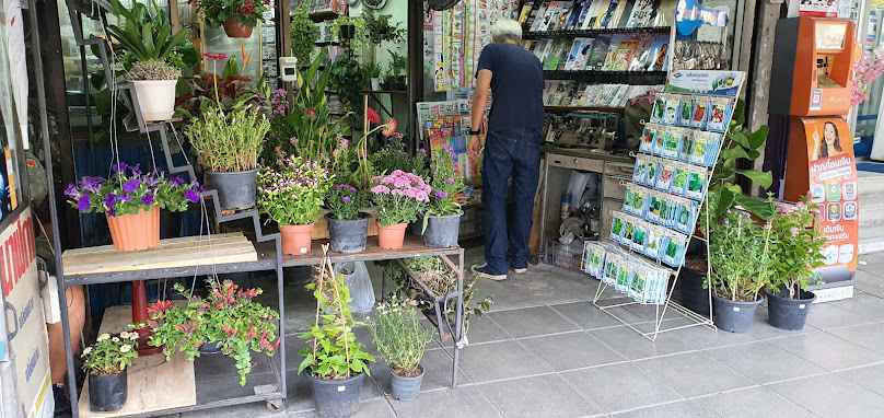 ร้านต้นไม้ Little Green 2 - 4