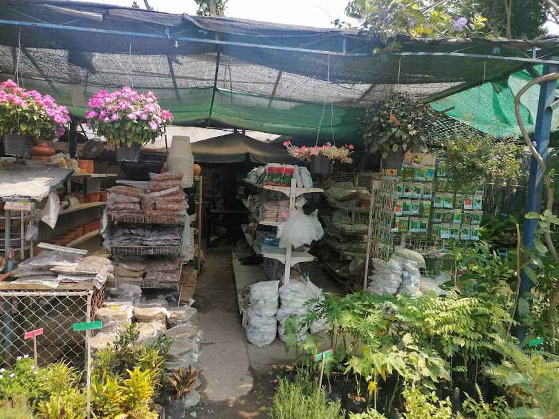 ร้านต้นไม้ Tee's Flora Shop สวนไม้งาม ขายต้นไม้ ดินปลูก วัสดุปลูก กระถาง - 1