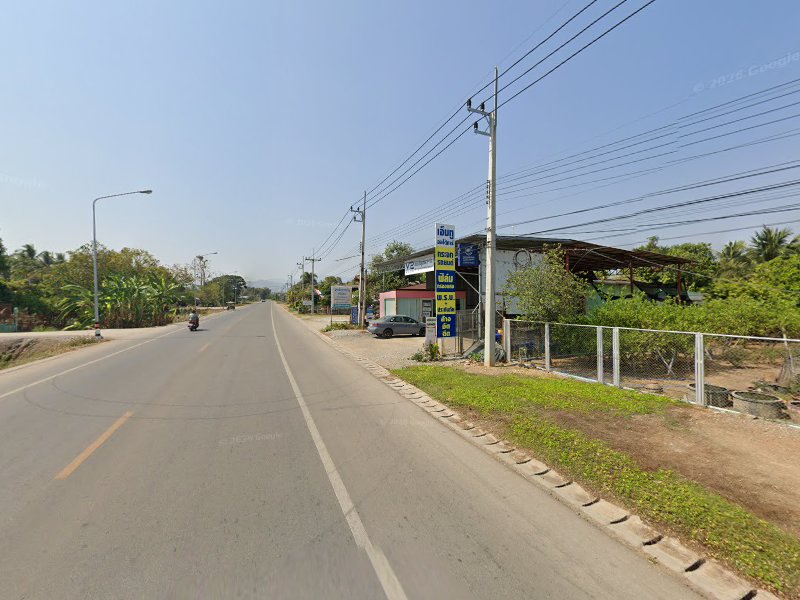 ร้านต้นไม้2พี่น้องพันธ์ไม้ - 4