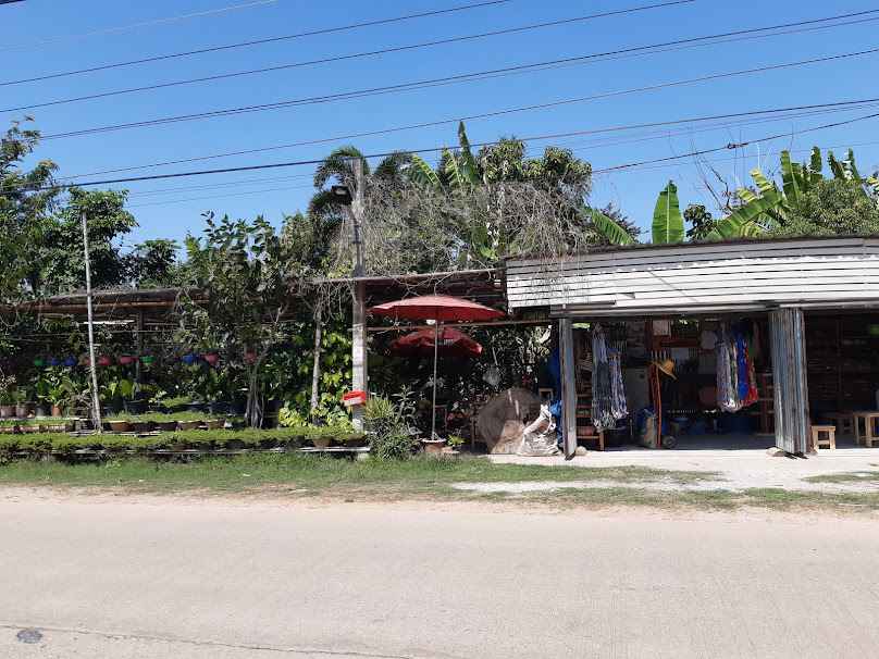 ร้านทักพันธุ์ไม้ - 3