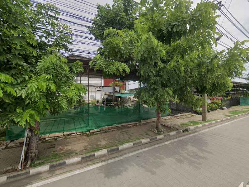 ร้านทักพันธุ์ไม้ - 4