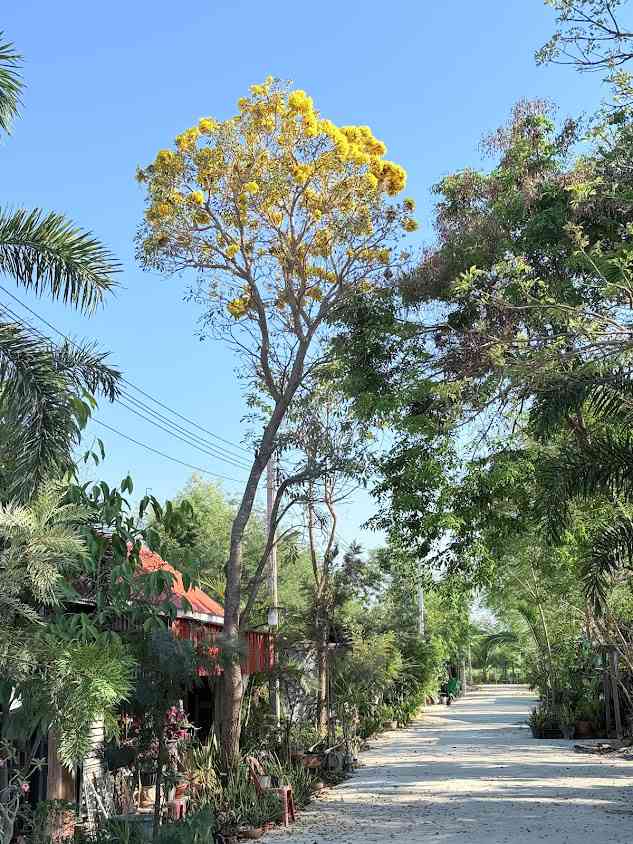 ร้านธนกร การช่าง - 2
