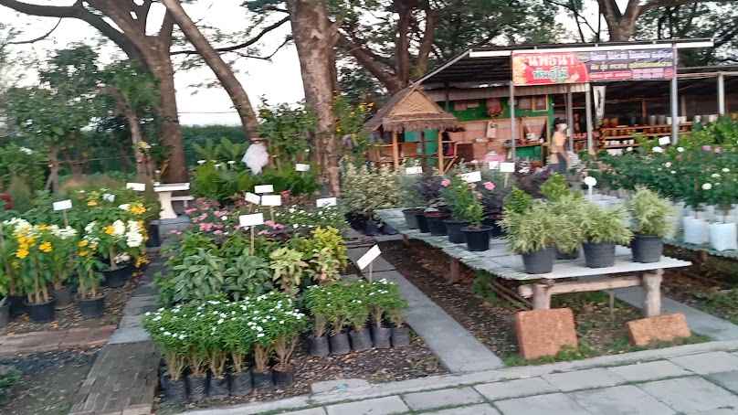 ร้านนพธนาพันธุ์ไม้ - 2