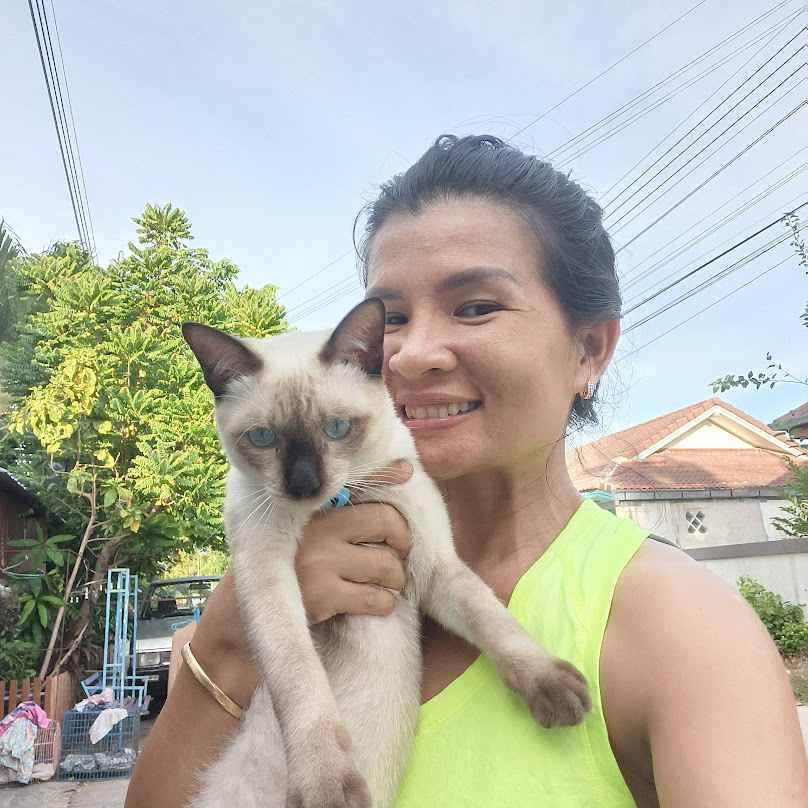 ร้านนักเลงแบตเตอรี่ เขาย้อย | ร้านแบตเตอรี่รถยนต์เพชรบุรี - 3