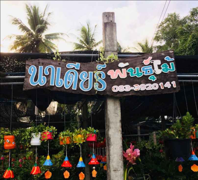 ร้านนาเดียร์พันธุ์ไม้ ศาลาบางปู อ.เมือง จ.นครศรีธรรมราช