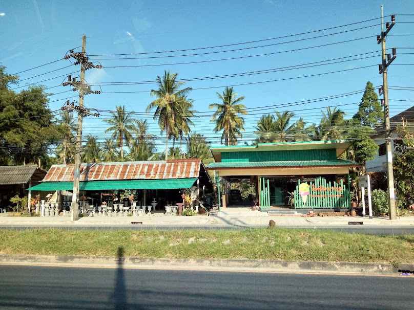 ร้านนาเดียร์พันธุ์ไม้ ศาลาบางปู อ.เมือง จ.นครศรีธรรมราช - 4