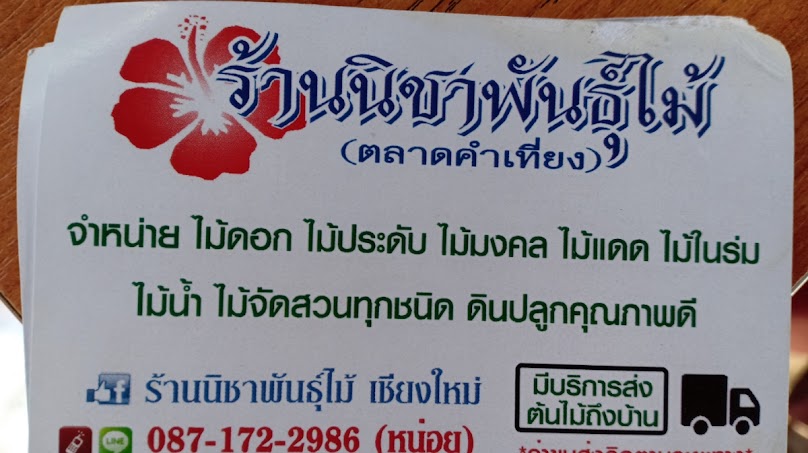 ร้านนิชาพันธุ์ไม้