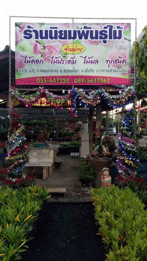 ร้านนิยมพันธุ์ไม้