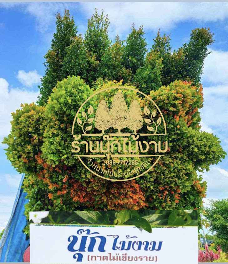 ร้านนุ๊กไม้งาม (กาดไม้เชียงรายฝั่งหมิ่น) - 2