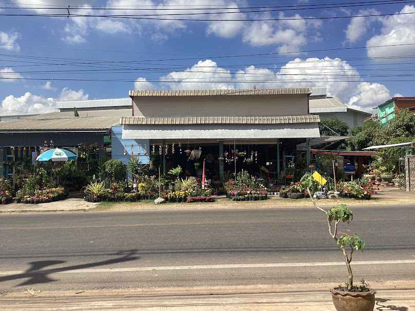 ร้านบุญเลิศพันธุ์ไม้ - 4