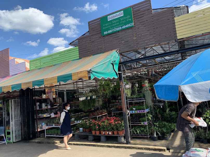 ร้านบุษราพันธ์ุไม้ - 4